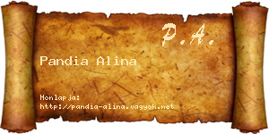 Pandia Alina névjegykártya
